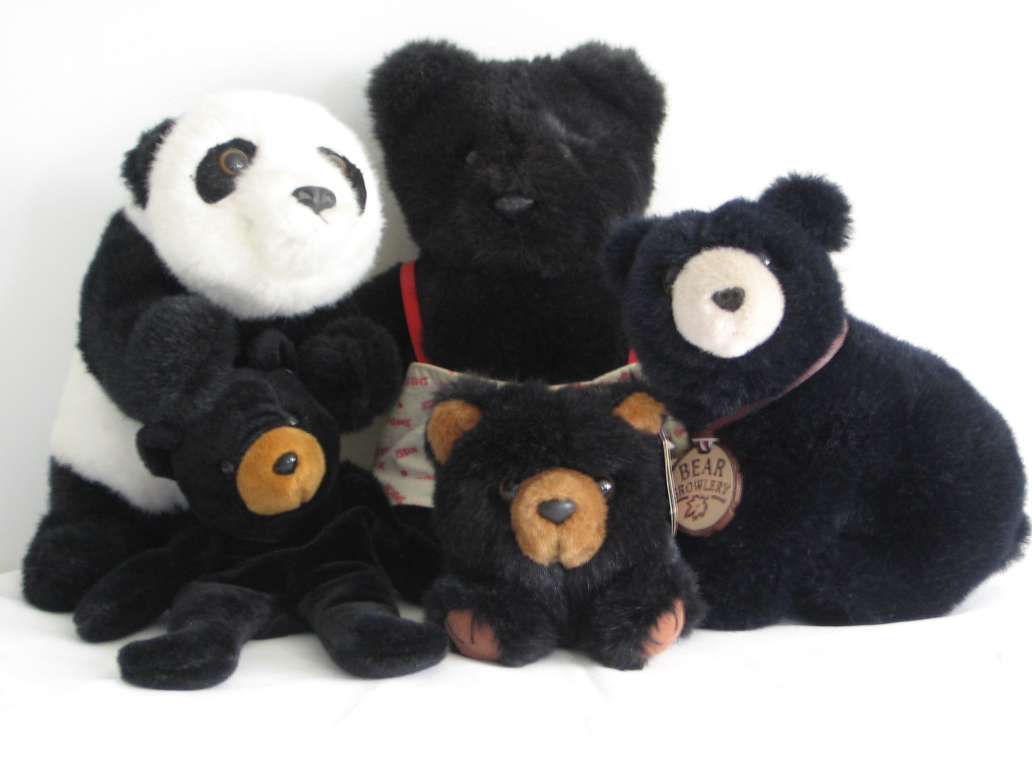 Black bears
