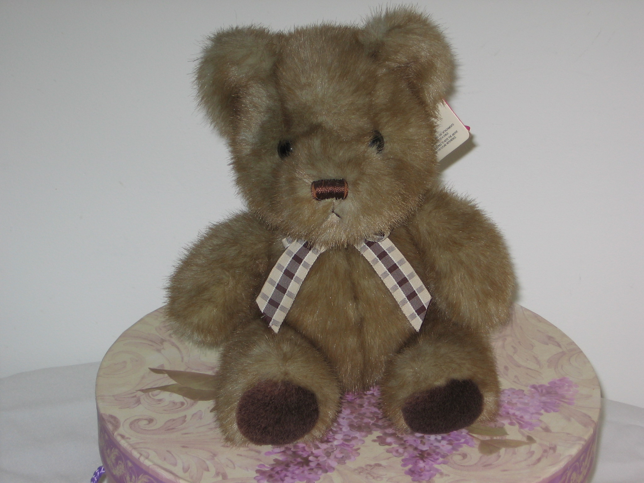 Light brown beqr