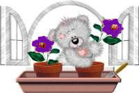 Purple flowers and bear